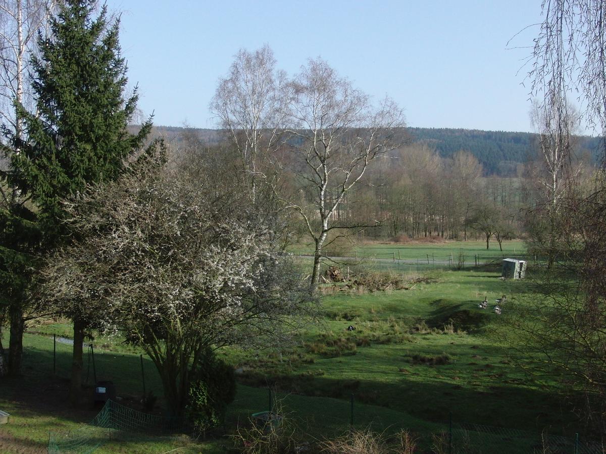 Guesthouse Herriot Springe Esterno foto